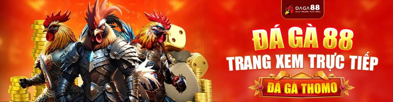 Sân đấu đá gà trực tuyến kịch tính trên betvip app